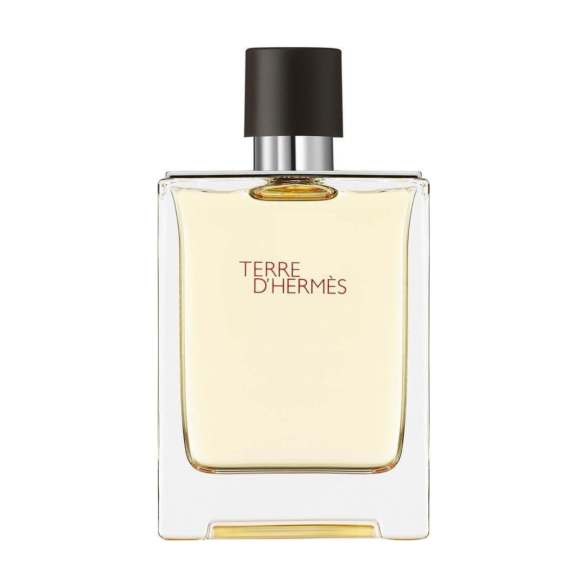Embalagem de Perfume Hermès Terre d'Hermès Masculino Eau de Toilette