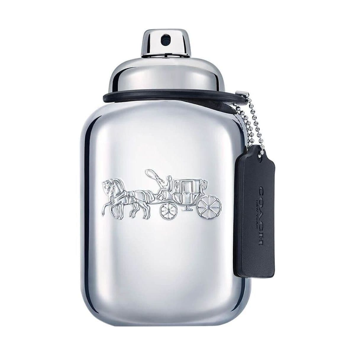 Embalagem de Perfume Coach Platinum Masculino Eau de Parfum