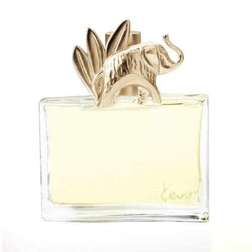 Embalagem de Perfume Kenzo Jungle L'Elephant Feminino Eau de Parfum